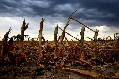 Provincia lanzó un programa de asistencia para productores afectados por la sequía