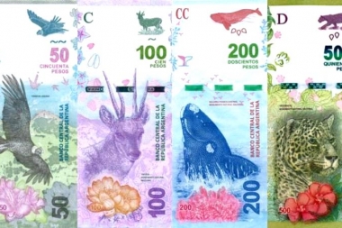 Adiós a los animales: renovarán y dejarán fuera de circulación los billetes que impulsó Macri