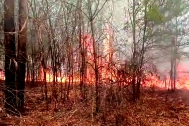 Un incendio afecta al Parque Pereyra Iraola y preocupa a vecinos