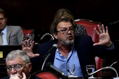 Senador de Cambiemos cuestionó los dichos de Kicillof sobre el asesinato de Fernando Báez Sosa