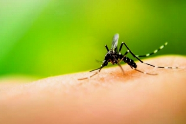 Contra el Dengue: Provincia entregó repelentes para dependencias estatales y hospitales