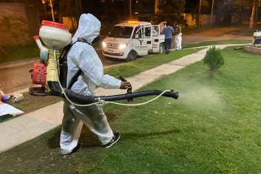 El Gobierno espera un aumento de casos de Dengue mientras el record se acerca al del 2020