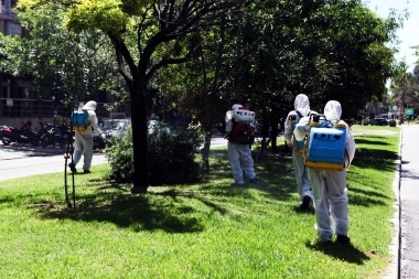 La Municipalidad de La Plata declaró un nuevo brote de dengue en el distrito