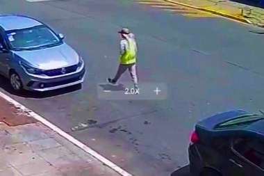 Se bajó del auto para salvar a un perro y una mujer inescrupulosa le robó todo