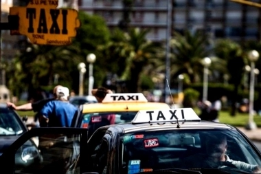 En contra de las Apps de transporte: taxistas y remiseros de Mar del Plata anunciaron paro indefinido