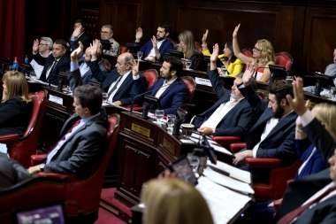 Senadores de Cambiemos proponen crear un bono de $5 mil para jubilados y pensionados del IPS