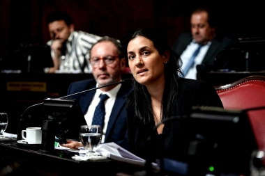 Senadora massista se plantó contra las reelecciones indefinidas y avisó que faltará a la sesión