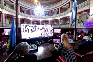El Senado bonaerense tuvo su primera sesión virtual: pedidos para conformar las comisiones