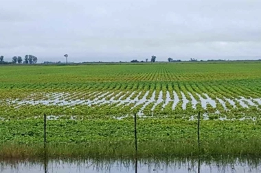 Con la firma de Kicillof y sus ministros, se decretó emergencia agropecuaria en 12 municipios bonaerenses