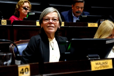 Una mirada radical: Malaisi habló sobre la “dilatación” por la suspensión de las PASO y los plazos electorales