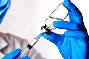 La UBA desarrolla vacuna contra el Covid-19 que podría probarse en humanos a fin de año