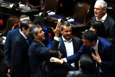 Cuáles son los principales puntos de la edulcorada Ley Ómnibus de Milei que aprobó Diputados