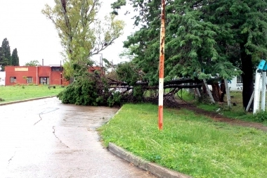 Tormentas en La Plata: el municipio declaró alerta naranja y recomienda no salir de casa