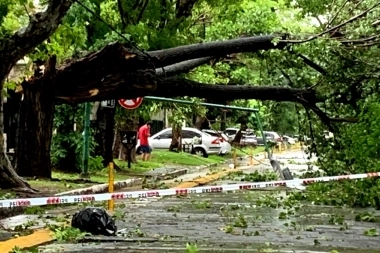 Cifras oficiales: 15 los fallecidos de distintos puntos de la Provincia de Buenos Aires por el temporal