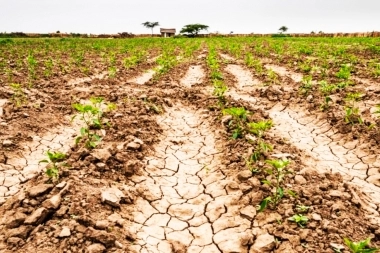 El Gobierno Nacional declaró emergencia agropecuaria en 19 municipios de la Provincia