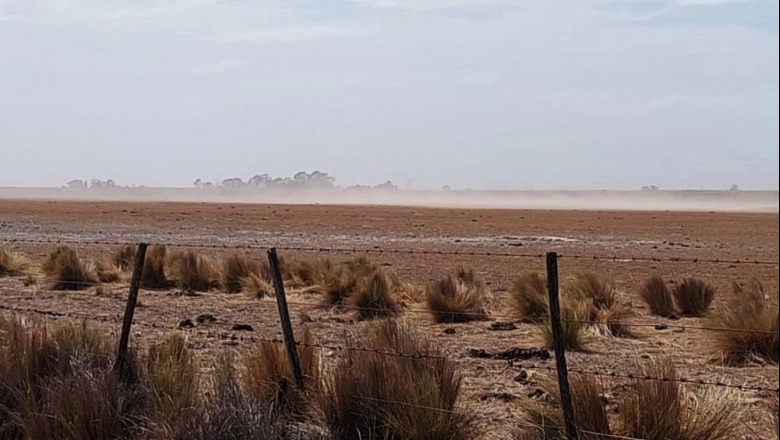 Por la sequía, declararon Emergencia y Desastre Agropecuario en Patagones