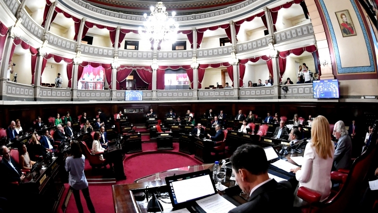 “Es inconstitucional”: senadores PRO no apoyarán el cambio en las sentencias judiciales por despidos