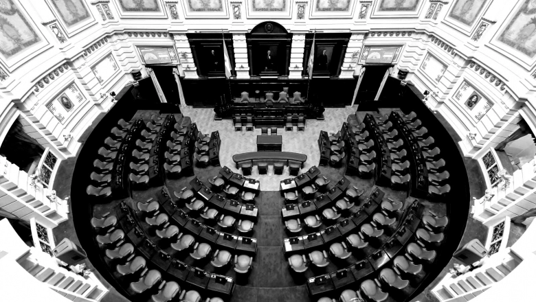Legislatura convulsionada: los "libertarios Blue", Pettovello y el massismo en alerta