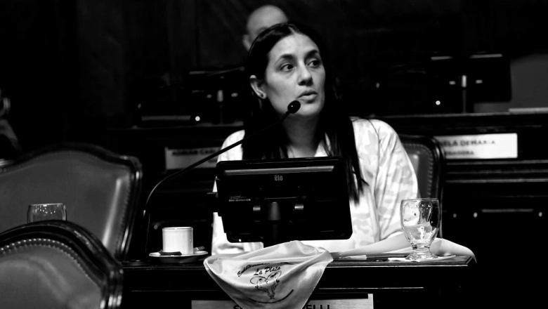 ¿Dio quórum o no dio quórum?: la senadora massista que se opuso a reelecciones ilimitadas y una polémica