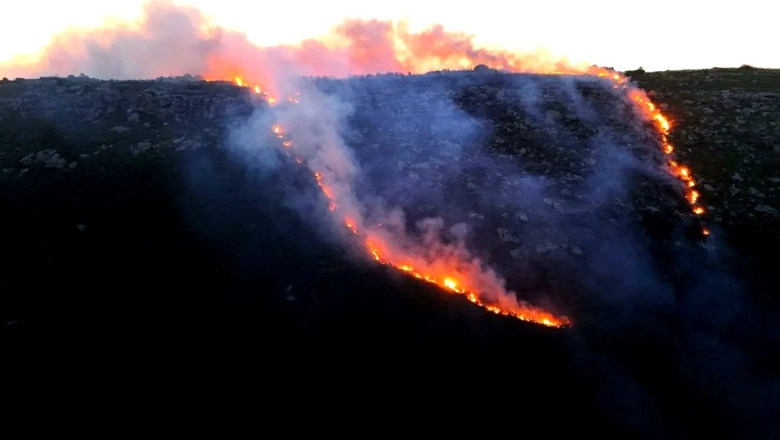 Un intendente de la UCR llevó sus sospechas por un incendio forestal a la Justicia