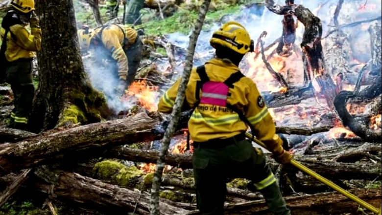 Junín en alerta ígnea: 23 incendios en 3 días y más autos quemados