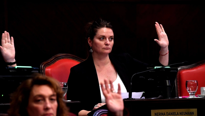 “Compromiso con la prevención”: el pedido de la senadora Neumann Losada a un año de la inundación que afectó a Bahía Blanca