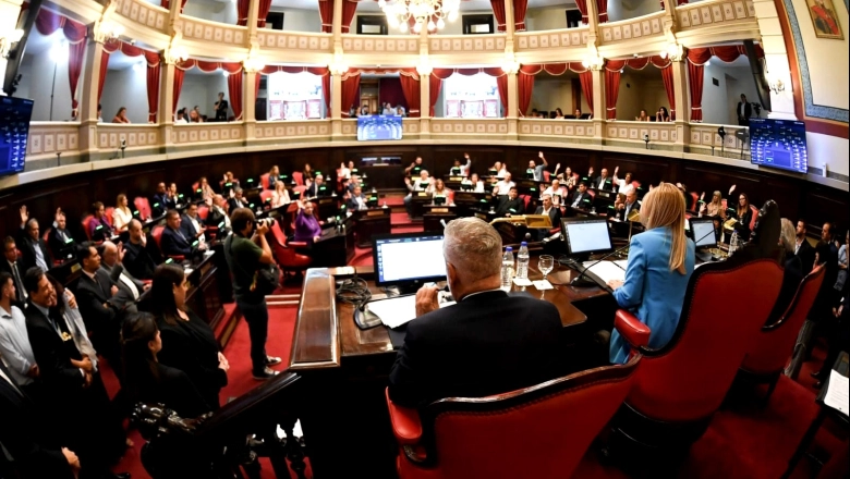 A la espera del armado de las comisiones, el Senado bonaerense convocó a una sesión especial