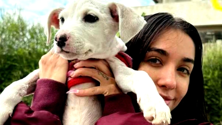 Amor animal: el gesto de María Becerra con un cachorro que emocionó a todos