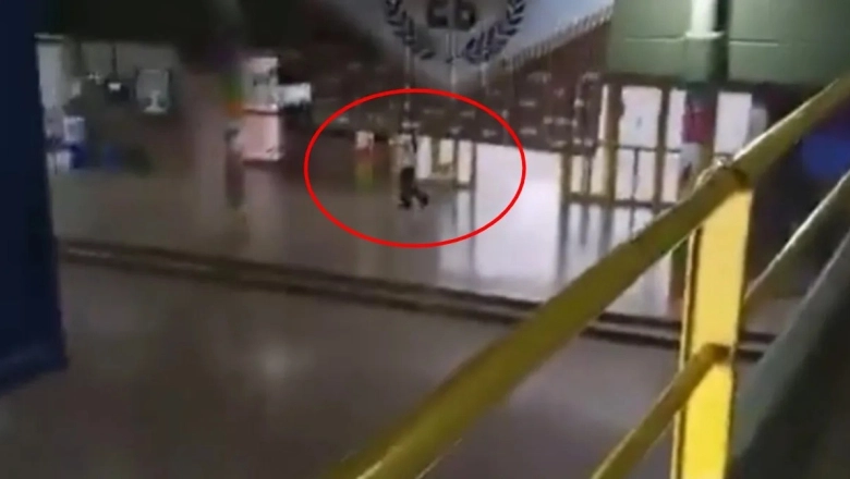 Terror y tragedia en una escuela de Santa Fe: un alumno disparó con una escopeta, mató a un compañero e hirió a dos