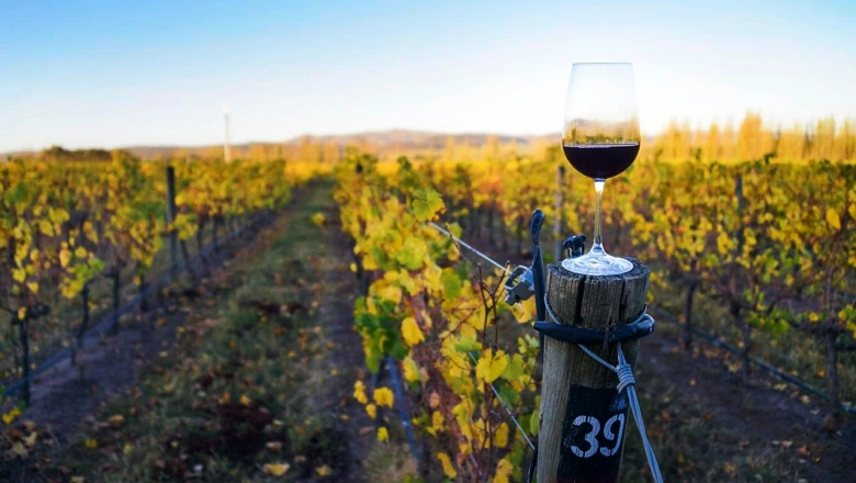 Destinos bonaerenses: Miramar invita a disfrutar del cálido sonido ancestral del mar con dos grandes fiestas