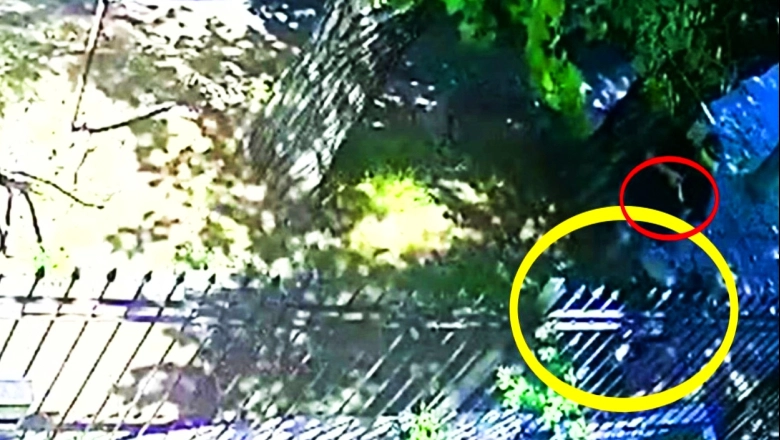 Salvaje asalto en Morón: bicichorro atacó a una joven y le rompió la cabeza con culatazos