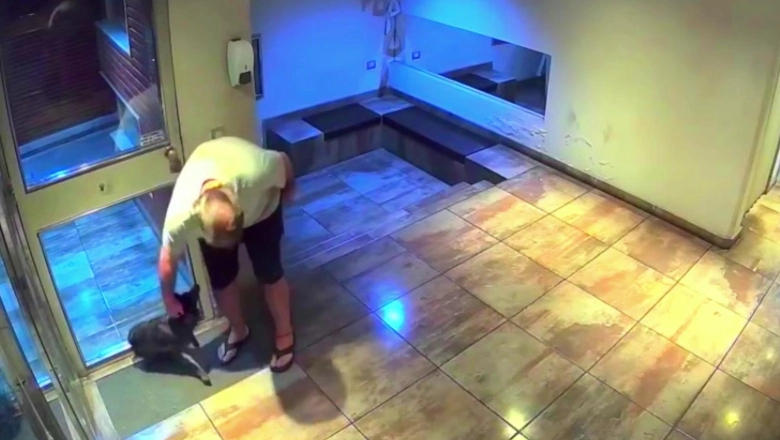 Lo peor de la raza humana: levantó al perro 2 metros y lo arrojó al suelo con furia