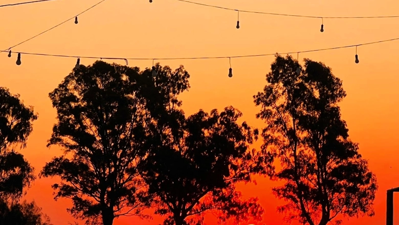 Destinos bonaerenses: la Niña, la Isla Martín García y Beruti, las tres grandes opciones para el próximo finde largo
