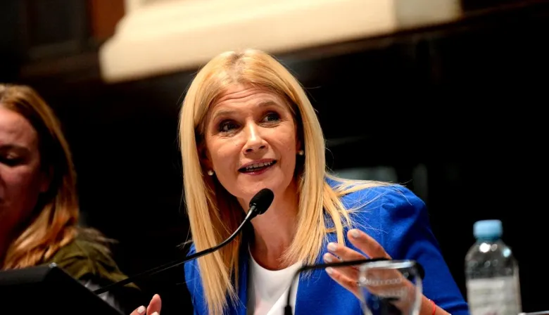 Magario cargó contra los cambios que quiere Milei en la Ley de Discapacidad y alertó por los riesgos