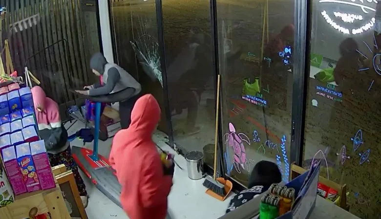 Banda de adolescentes desvalijó un comercio en San Nicolás