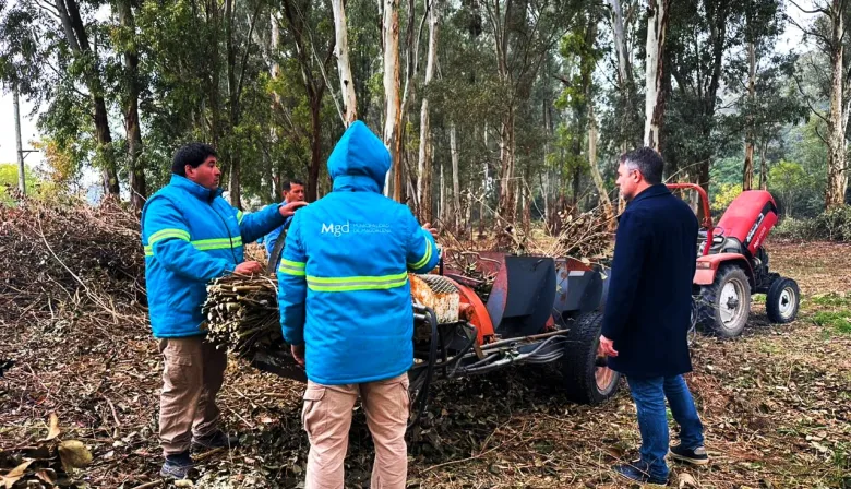 Hourcade avanza con la recuperación del Monte de Empalme en Magdalena
