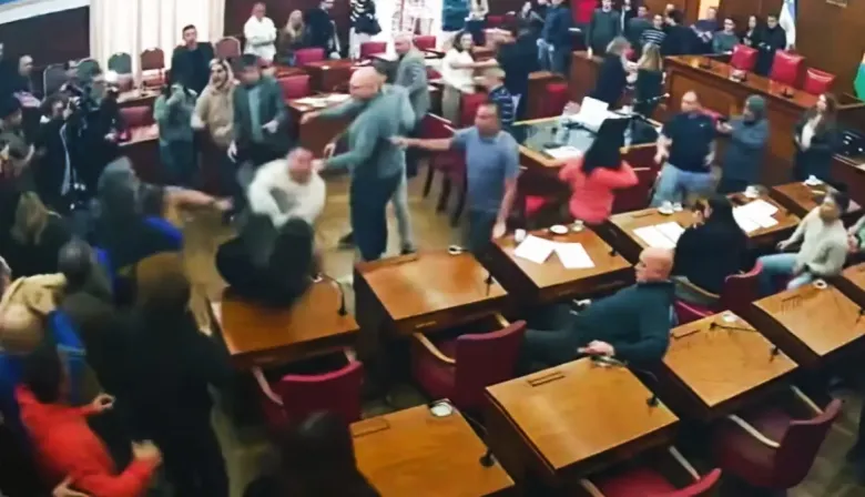 Piñas, insultos y suspensión: escándalo en el Concejo Deliberante de Mar del Plata