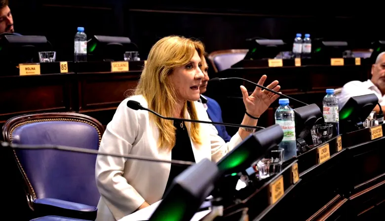 Los bloques de la UCR condenaron a Kicillof tras la caída de la sesión por IOMA en Diputados bonaerense