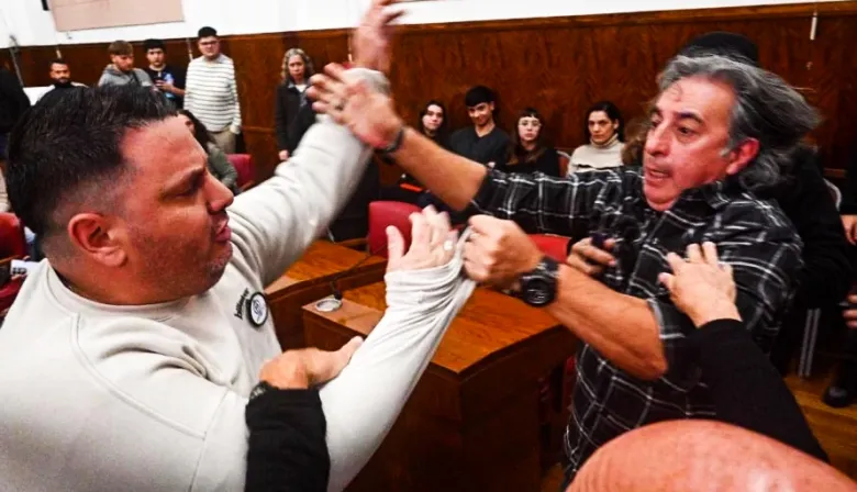 Piñas, insultos y suspensión: escándalo en el Concejo Deliberante de Mar del Plata