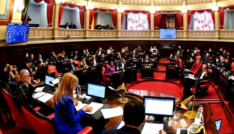 El Senado bonaerense avanzó con las designaciones para el Consejo de la Magistratura