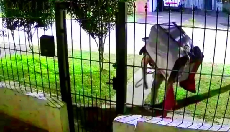 Llave en mano y con la modalidad hormiga, desvalijaron una vivienda en Pergamino