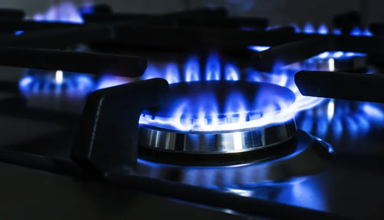 Milei patea los cambios en el régimen de Zona Fría para después de las vacaciones de invierno