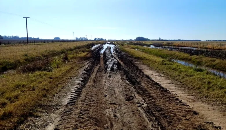 El campo bonaerense entra en alerta: la cosecha sigue frenada por los caminos rurales