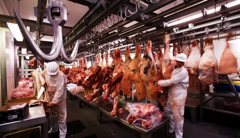 Puglelii alertó el avance de las importaciones de carne y su impacto en la producción local
