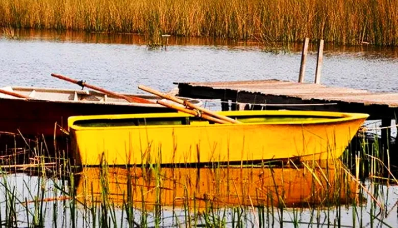 Destinos bonaerenses: tres días de viaje por las lagunas y termas de Maipú, Dolores y Lavalle