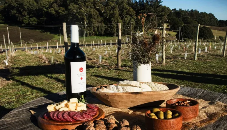 Destinos bonaerenses: septiembre llega con la primavera y experiencias vitivinícolas únicas