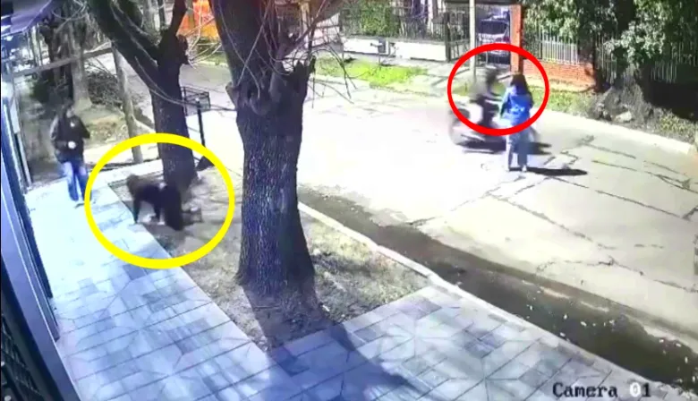 Robo automotor en Merlo: motochorros le arruinaron la noche a un grupo de amigas