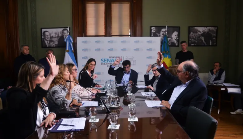 Avanza en el Senado bonaerense un proyecto para impulsar la olivicultura en el sudoeste