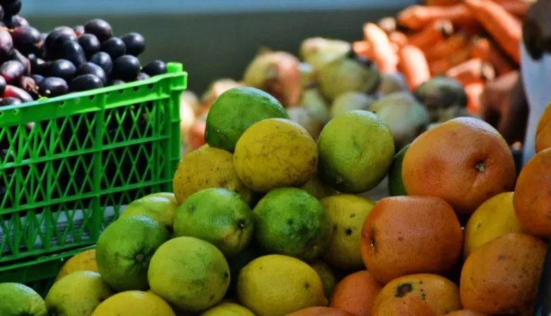 Chaves Municipio abre una nueva convocatoria para fomentar la producción frutícola en la Provincia
