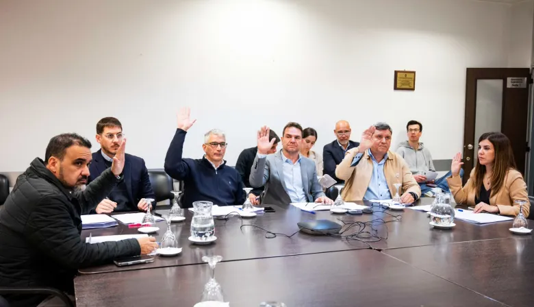 Luayza celebró el avance del proyecto para habilitar el uso de armas no letales para la Policía bonaerense